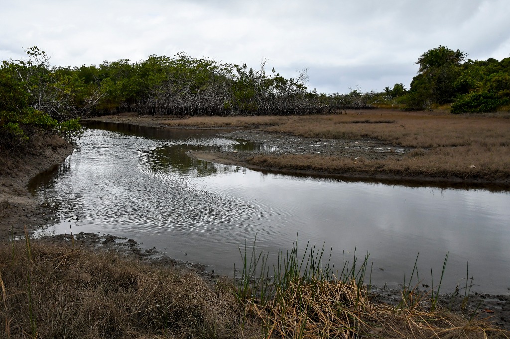 parque estadual trilhas © roberto guedes (4).jpg