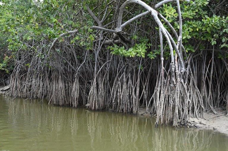 parque estadual trilhas © roberto guedes (8).JPG