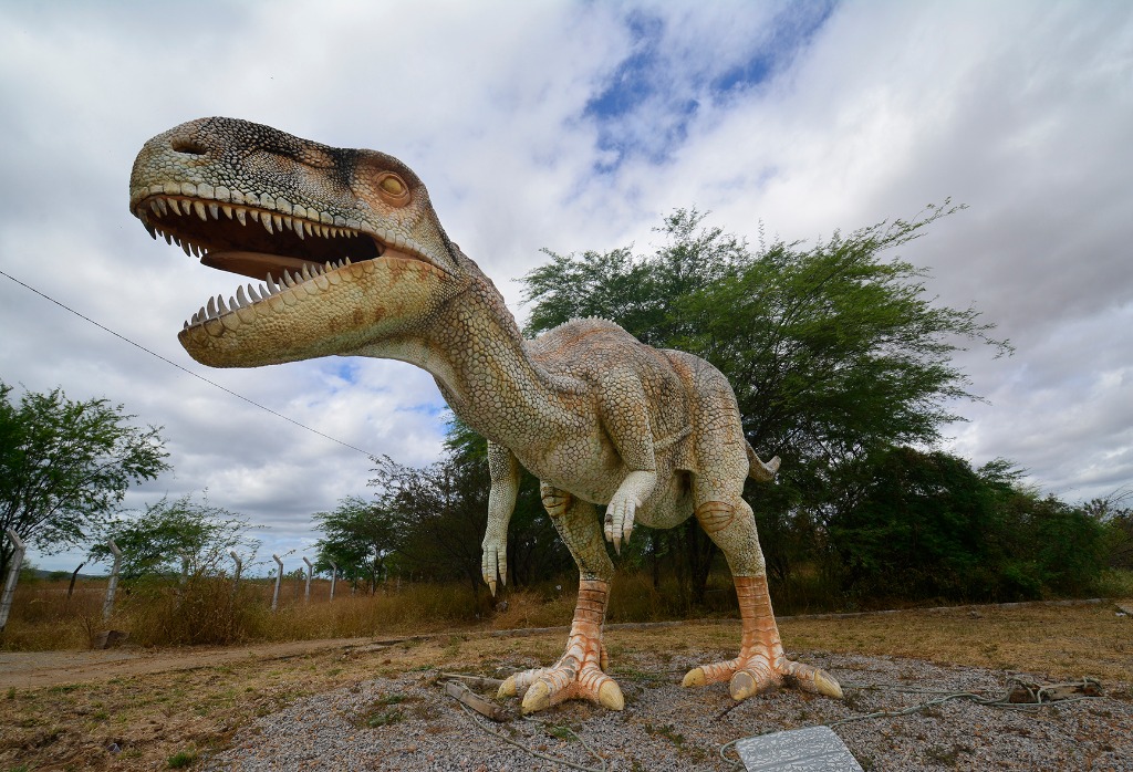 2020.07.27_ monumento natural vale dos dinossauros © roberto guedes (7).JPG