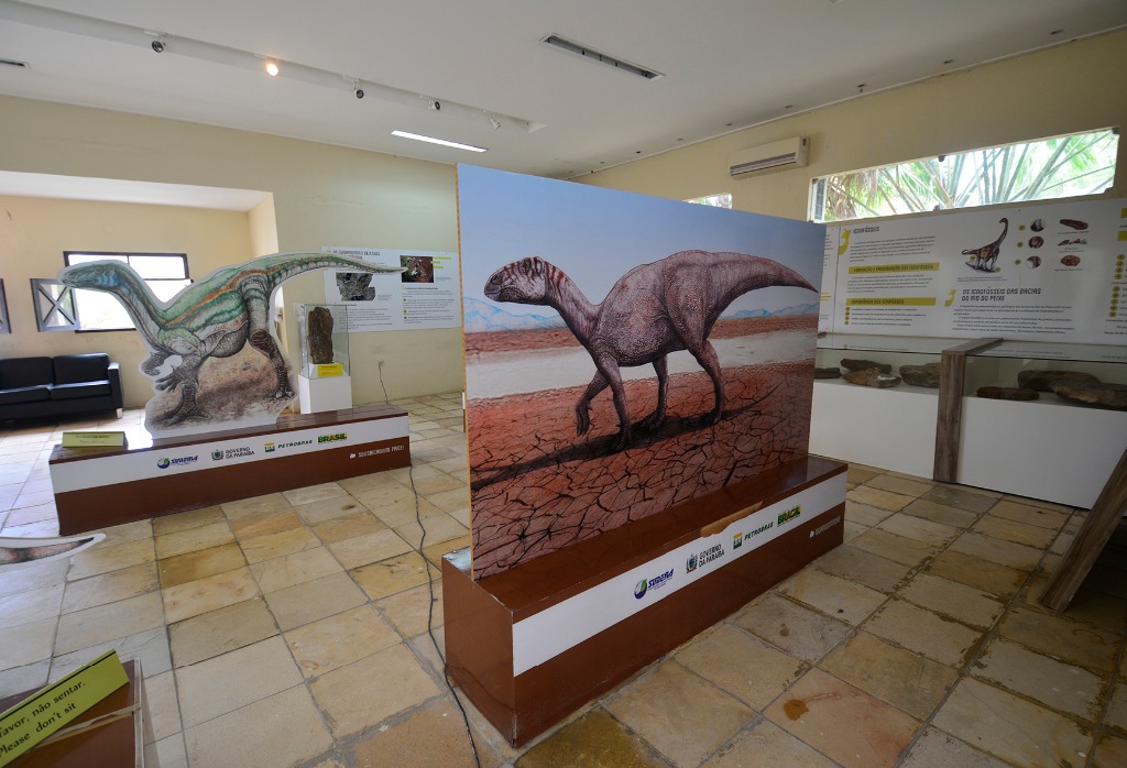 2020.07.27_ monumento natural vale dos dinossauros_museu © roberto guedes (34).JPG
