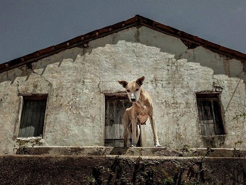 Serra da Raiz tem festival de cinema até sábado